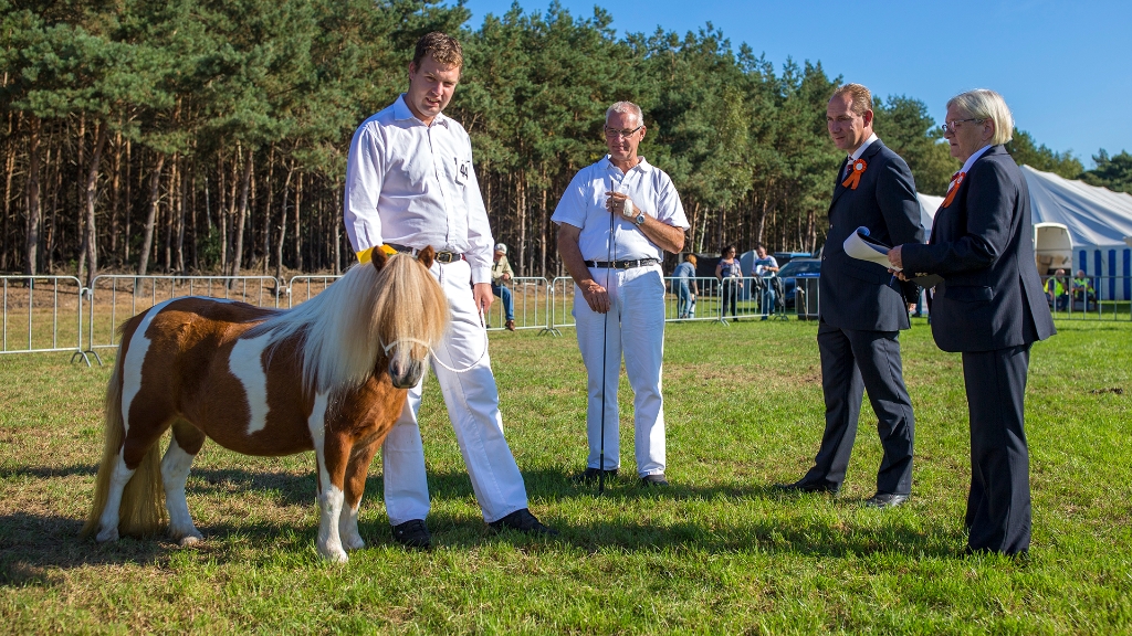 Lierop Fokpaardendag 2016 (17).jpg - Lierop Fokpaardendag 2016